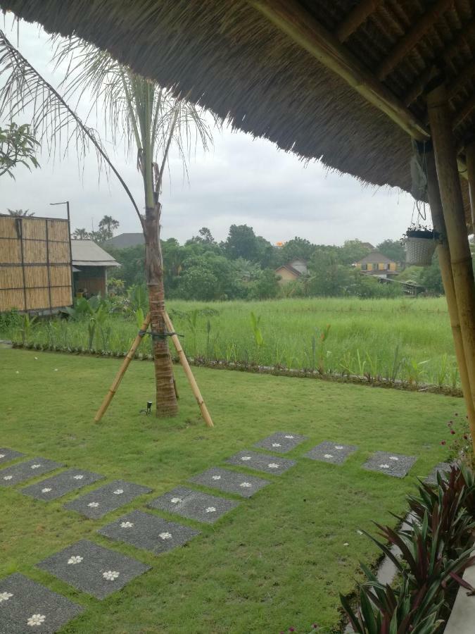 Hello Canggu Homestay エクステリア 写真